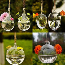 Load image into Gallery viewer, Hydroponic Hanging Terrarium - stilyo