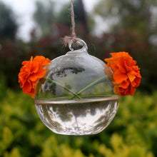 Load image into Gallery viewer, Hydroponic Hanging Terrarium - stilyo