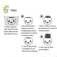 Load image into Gallery viewer, Creative DIY Emoji Grass Head - stilyo