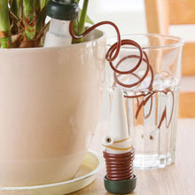 Load image into Gallery viewer, 2pcs Home Plant Automatic Watering Tool - stilyo