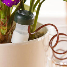 Load image into Gallery viewer, 2pcs Home Plant Automatic Watering Tool - stilyo