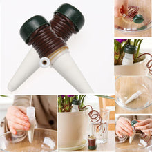 Load image into Gallery viewer, 2pcs Home Plant Automatic Watering Tool - stilyo