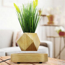 Load image into Gallery viewer, Geodesic Wooden Levitating Air-Floating Bonsai Pot - stilyo
