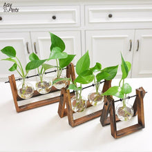 Load image into Gallery viewer, Rustic Plant Terrarium with Wooden Stand - stilyo