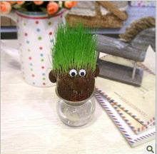 Load image into Gallery viewer, Lovely Design Mini DIY Magic Grass Head Plant - stilyo