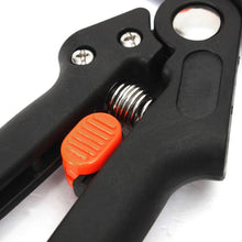 Load image into Gallery viewer, Plant Pruning Metal Scissor Kit - stilyo