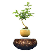 Load image into Gallery viewer, Supernova Base Levitating Air-Floating Bonsai Pot - stilyo