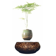 Load image into Gallery viewer, Supernova Base Levitating Air-Floating Bonsai Pot - stilyo