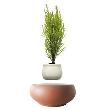 Load image into Gallery viewer, Desert Sand Base Levitating Air-Floating Bonsai Pot - stilyo