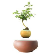 Load image into Gallery viewer, Desert Sand Base Levitating Air-Floating Bonsai Pot - stilyo