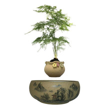 Load image into Gallery viewer, Japanese Village Base Levitating Air-Floating Bonsai Pot - stilyo