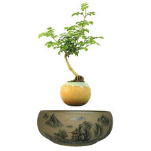 Load image into Gallery viewer, Japanese Village Base Levitating Air-Floating Bonsai Pot - stilyo