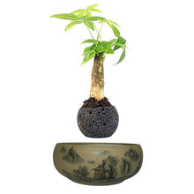Load image into Gallery viewer, Japanese Village Base Levitating Air-Floating Bonsai Pot - stilyo