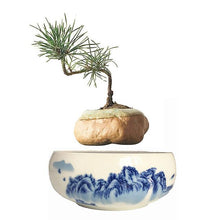 Load image into Gallery viewer, Blue Ocean Base Levitating Air-Floating Bonsai Pot - stilyo