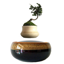 Load image into Gallery viewer, Black Eye Base Levitating Air-Floating Bonsai Pot - stilyo