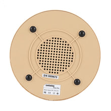 Load image into Gallery viewer, Levitating Plant Air Bonsai Floating Pot - stilyo