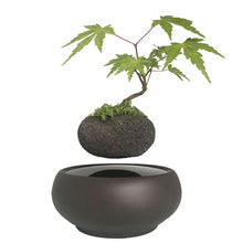 Load image into Gallery viewer, Blackout Base Levitating Air-Floating Bonsai Pot - stilyo