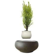 Load image into Gallery viewer, Blackout Base Levitating Air-Floating Bonsai Pot - stilyo