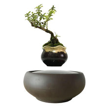 Load image into Gallery viewer, Blackout Base Levitating Air-Floating Bonsai Pot - stilyo