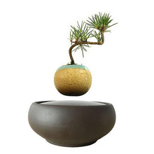 Load image into Gallery viewer, Blackout Base Levitating Air-Floating Bonsai Pot - stilyo