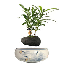 Load image into Gallery viewer, Yellow Flowers Ceramic Base Levitating Air-Floating Bonsai Pot - stilyo