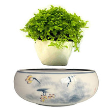 Load image into Gallery viewer, Yellow Flowers Ceramic Base Levitating Air-Floating Bonsai Pot - stilyo