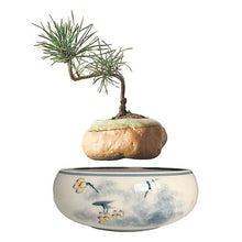 Load image into Gallery viewer, Yellow Flowers Ceramic Base Levitating Air-Floating Bonsai Pot - stilyo