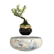 Load image into Gallery viewer, Yellow Flowers Ceramic Base Levitating Air-Floating Bonsai Pot - stilyo