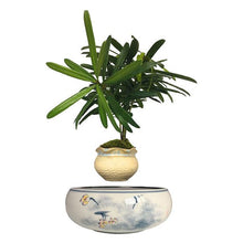 Load image into Gallery viewer, Yellow Flowers Ceramic Base Levitating Air-Floating Bonsai Pot - stilyo