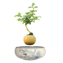 Load image into Gallery viewer, Yellow Flowers Ceramic Base Levitating Air-Floating Bonsai Pot - stilyo
