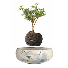 Load image into Gallery viewer, Yellow Flowers Ceramic Base Levitating Air-Floating Bonsai Pot - stilyo