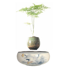 Load image into Gallery viewer, Yellow Flowers Ceramic Base Levitating Air-Floating Bonsai Pot - stilyo