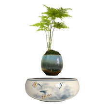 Load image into Gallery viewer, Yellow Flowers Ceramic Base Levitating Air-Floating Bonsai Pot - stilyo