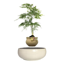 Load image into Gallery viewer, White Ceramic Base Levitating Air-Floating Bonsai Pot - stilyo