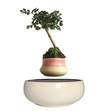 Load image into Gallery viewer, White Ceramic Base Levitating Air-Floating Bonsai Pot - stilyo