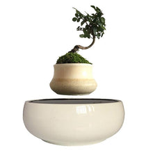 Load image into Gallery viewer, White Ceramic Base Levitating Air-Floating Bonsai Pot - stilyo