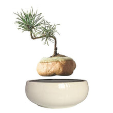 Load image into Gallery viewer, White Ceramic Base Levitating Air-Floating Bonsai Pot - stilyo