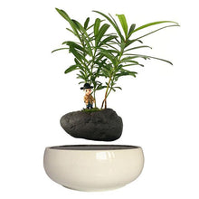 Load image into Gallery viewer, White Ceramic Base Levitating Air-Floating Bonsai Pot - stilyo
