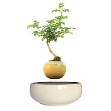 Load image into Gallery viewer, White Ceramic Base Levitating Air-Floating Bonsai Pot - stilyo