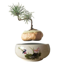 Load image into Gallery viewer, Song Bird White Ceramic Base Levitating Air-Floating Bonsai Pot - stilyo