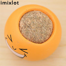 Load image into Gallery viewer, Creative DIY Emoji Grass Head - stilyo