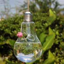 Load image into Gallery viewer, Light Bulb Shaped Hydroponic Plant Container - stilyo