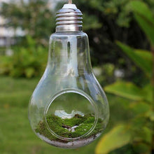 Load image into Gallery viewer, Light Bulb Shaped Hydroponic Plant Container - stilyo