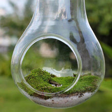 Load image into Gallery viewer, Light Bulb Shaped Hydroponic Plant Container - stilyo