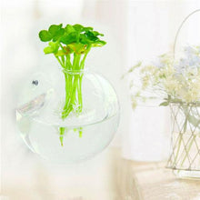 Load image into Gallery viewer, Wall Hanged Transparent Round Pot / Aquarium - stilyo