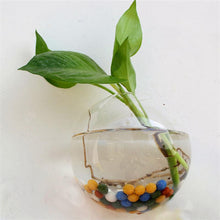 Load image into Gallery viewer, Wall Hanged Transparent Round Pot / Aquarium - stilyo