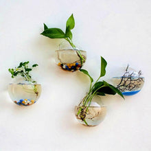 Load image into Gallery viewer, Wall Hanged Transparent Round Pot / Aquarium - stilyo