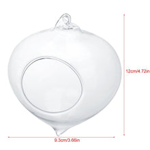 Load image into Gallery viewer, Wall Hanging Glass Plant Pot - stilyo