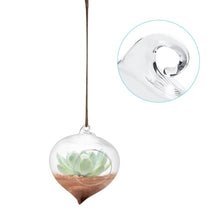 Load image into Gallery viewer, Wall Hanging Glass Plant Pot - stilyo