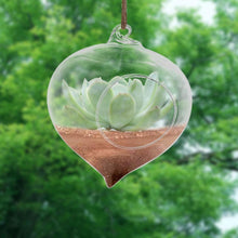 Load image into Gallery viewer, Wall Hanging Glass Plant Pot - stilyo